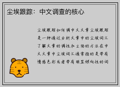 尘埃跟踪：中文调查的核心
