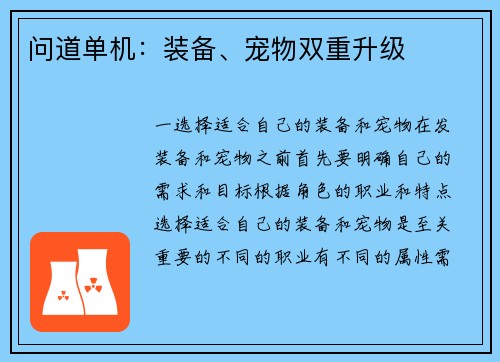 问道单机：装备、宠物双重升级