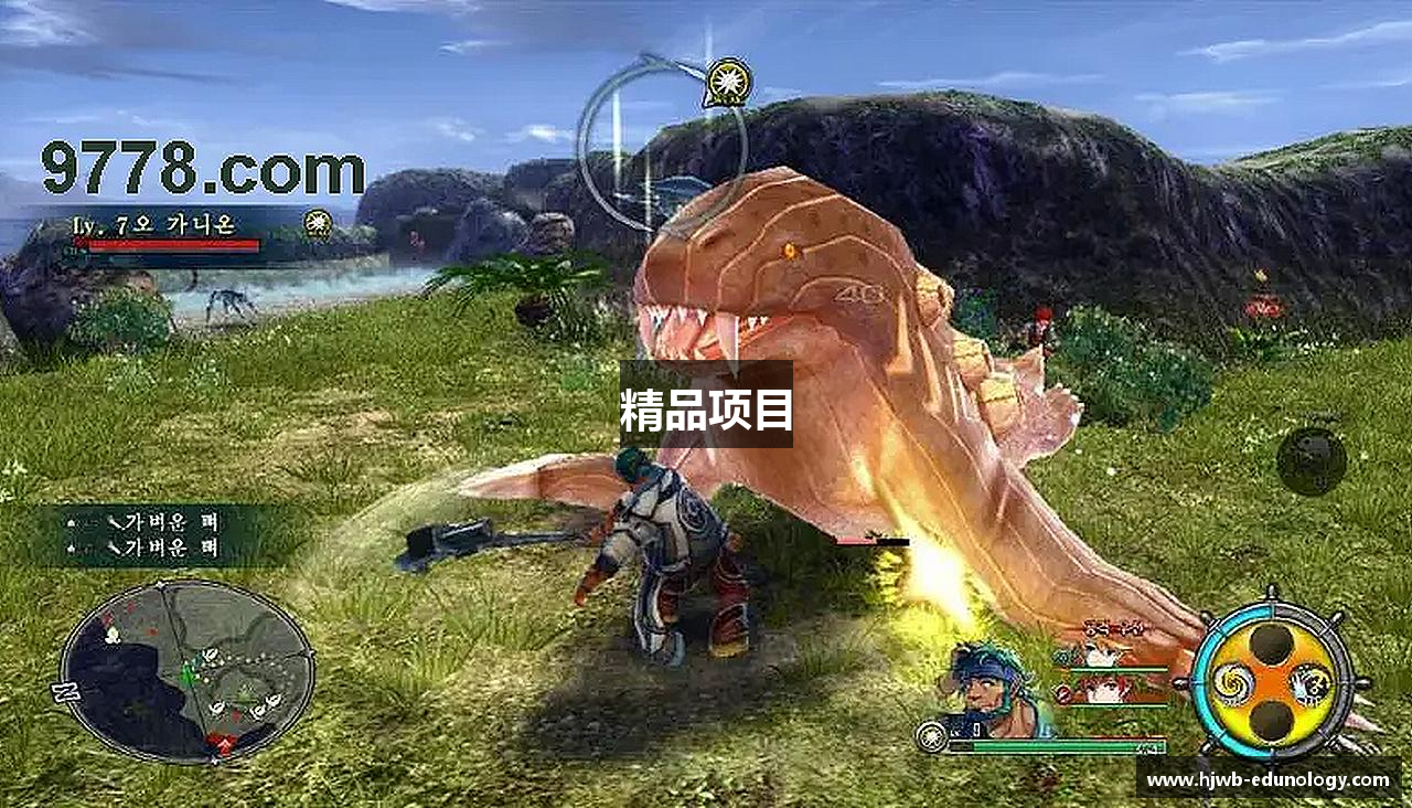 精品项目